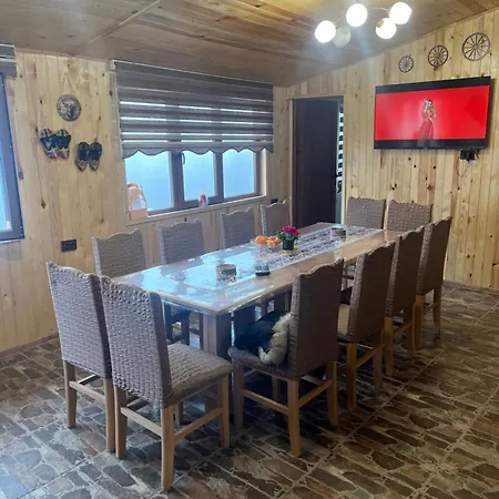 Villa ненови